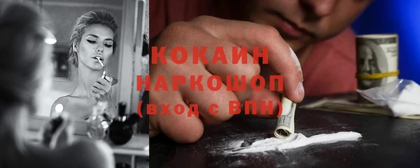 молекула духа Магадан