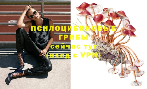 СК Липки