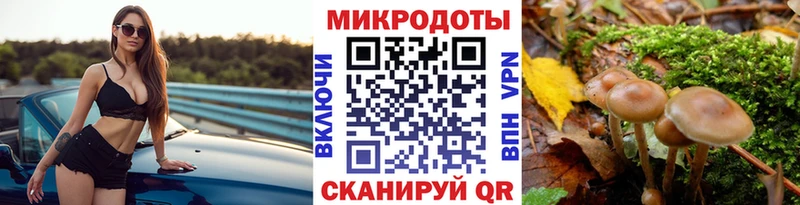 Псилоцибиновые грибы прущие грибы  Медвежьегорск 